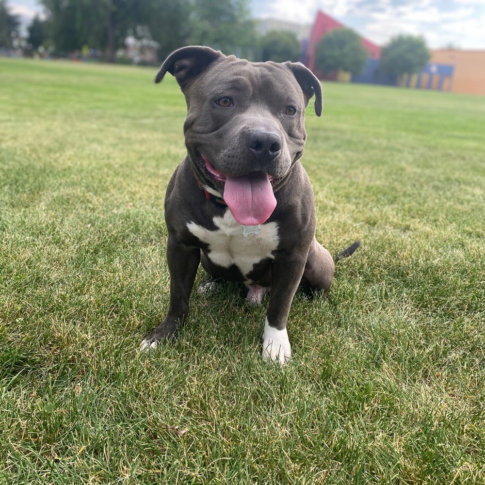 Meet your Posher, Jared